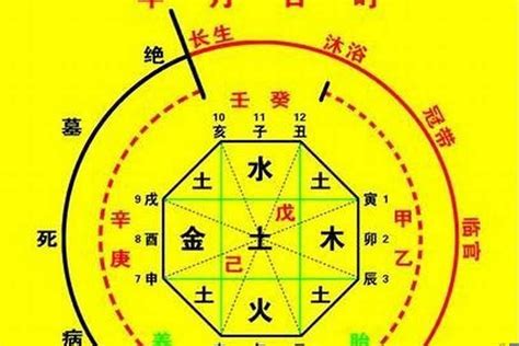 喜用金土|八字喜用神金土(喜用神是金土怎么旺自己)